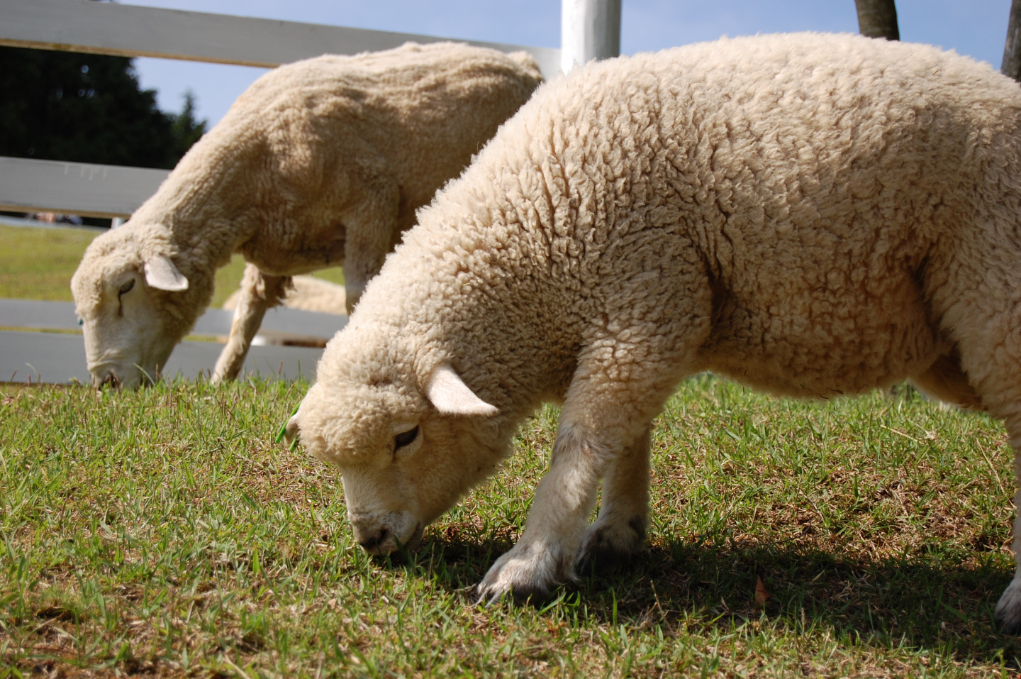 神戸・有馬・六甲 素敵体験
