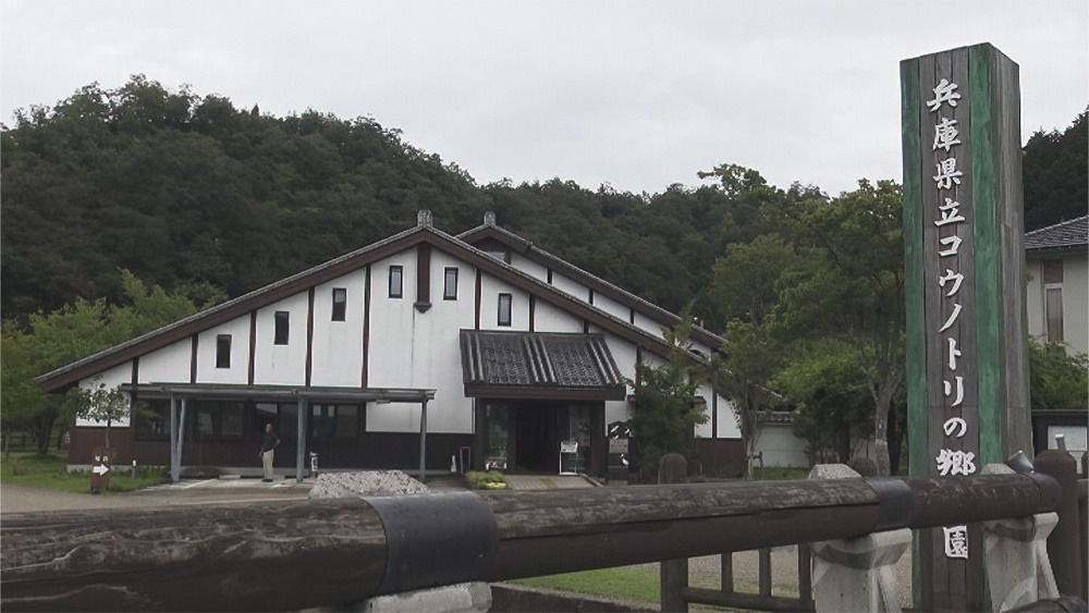 但馬で家族いっしょに自然体験・温泉巡り