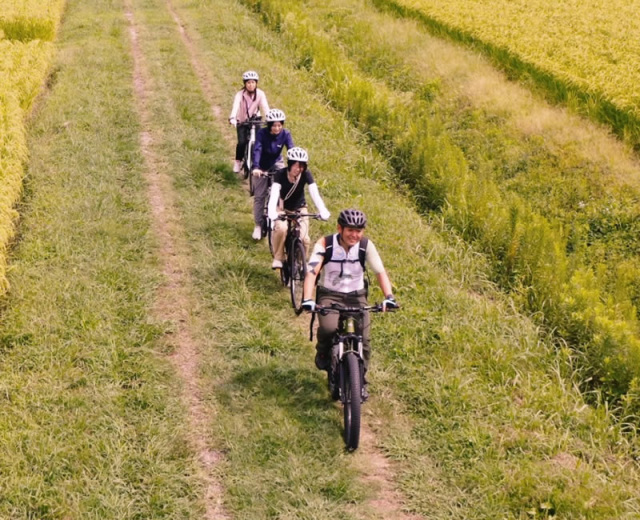 7. アワイチ（サイクリング）