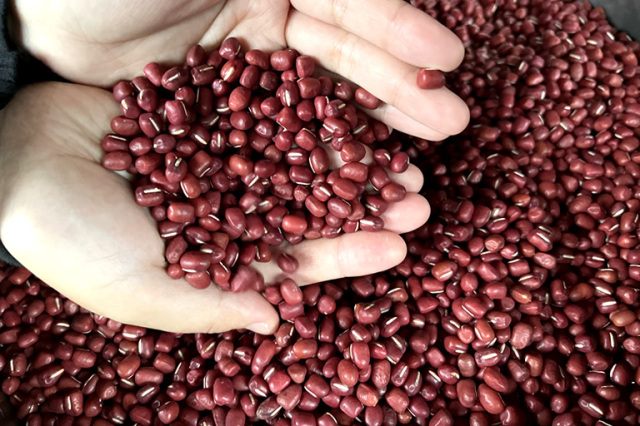 3. 丹波大納言小豆