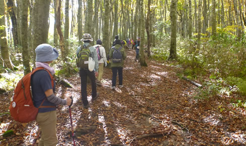 上山高原ふるさと館
