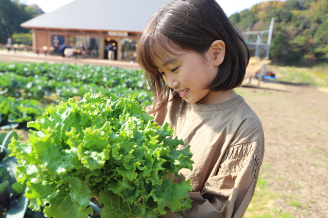 Discover, Learn and Grow with Kita-Awaji’s “Active Minds Tour” (Awaji)