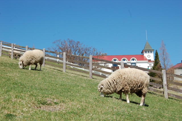 神戸市立六甲山牧場