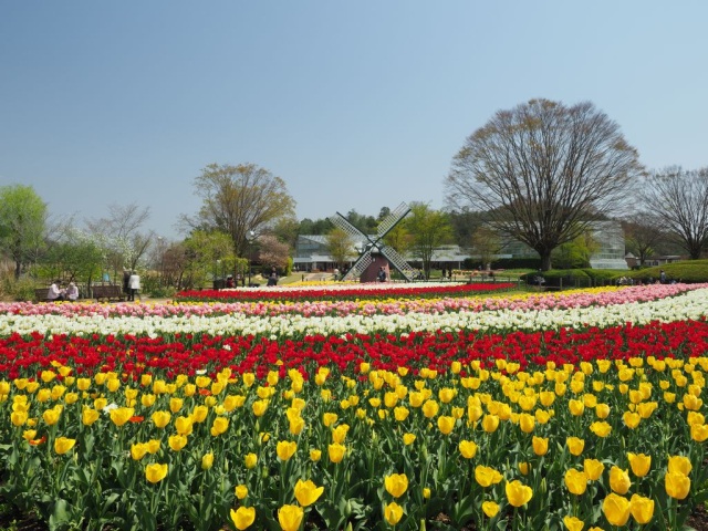 兵庫県立フラワーセンター