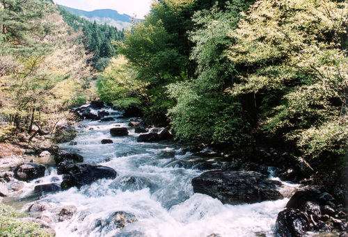 福知渓谷