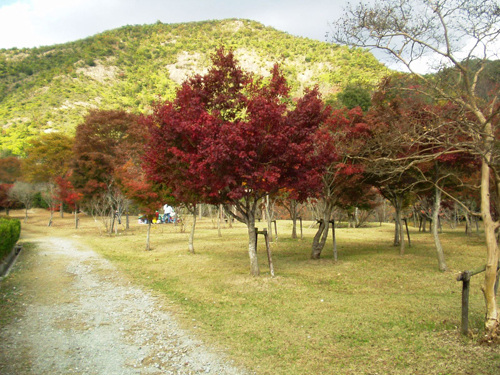 鹿島・扇平自然公園