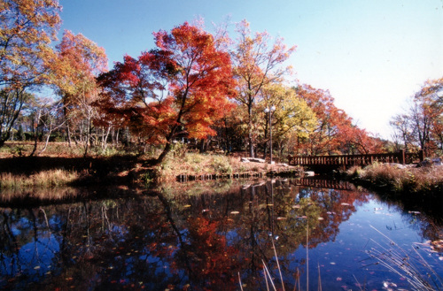 たじま高原植物園