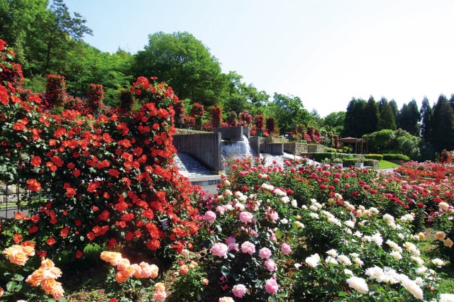 兵庫県立播磨中央公園
