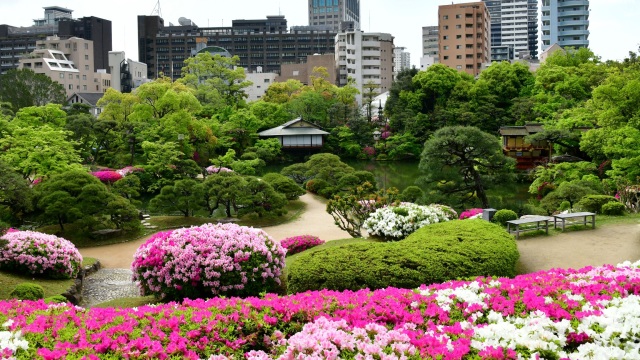 まちなかに造られた「深山幽谷」の世界 日本庭園『相楽園』の…