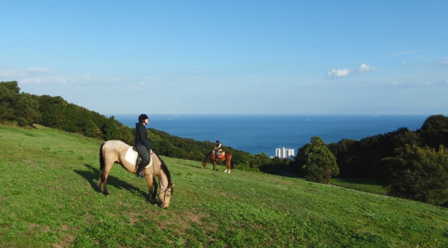 自然あふれる淡路島で馬に乗ろう!