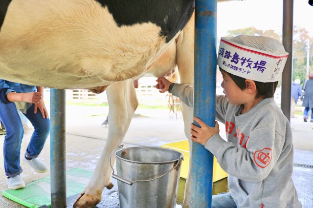 淡路島牛乳のルーツに迫る!淡路島牛乳工場見学と淡路島牧場で…