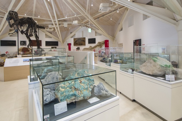 伝統的工芸品「豊岡杞柳細工」を体験！かご編み体験と円山川ミニ遊覧船