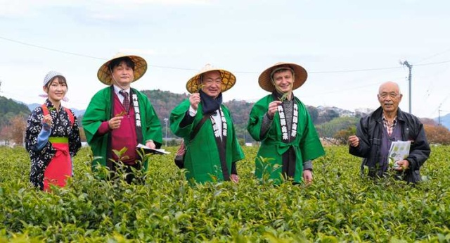 日本最古のお茶処 1,200年続く丹波篠山茶のヒミツ旅