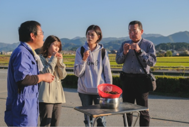 日本農業遺産「丹波の黒豆」生産農家のファームツアー