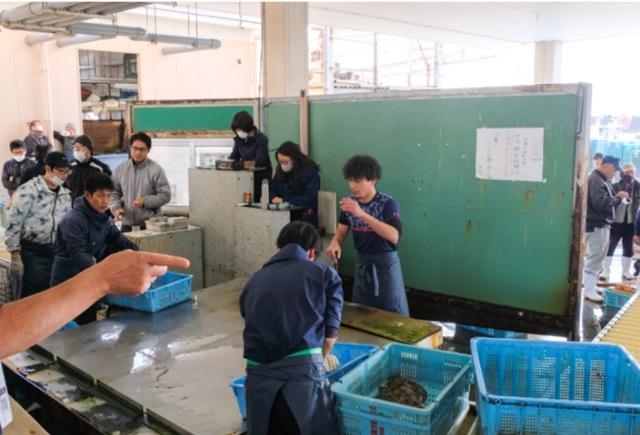 明石の魚の美味しさの秘密を覗く・明石昼網鮨ツアー