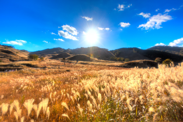 大河内高原観光ガイド