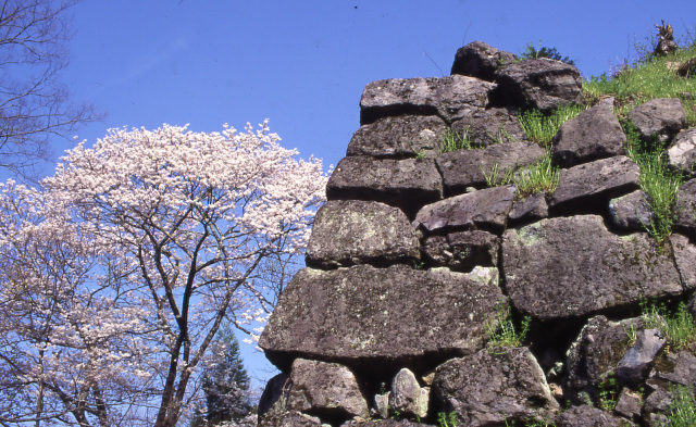 八木城跡まちづくり会
