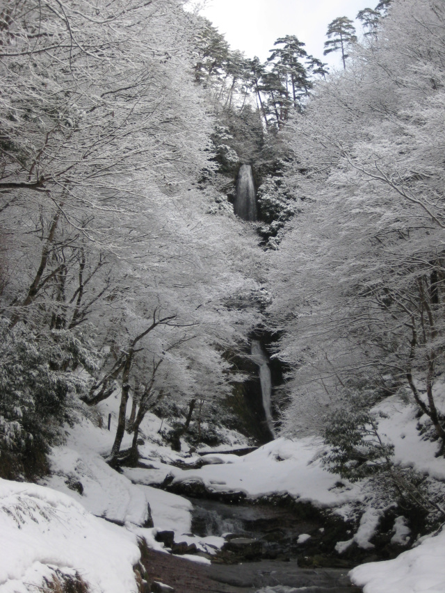 香美町村岡観光協会観光ガイド