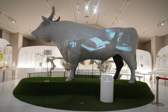 知りたい、食べたい、触れてみたい！黒毛和牛のルーツ・但馬牛