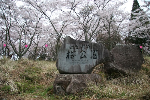 桜公園