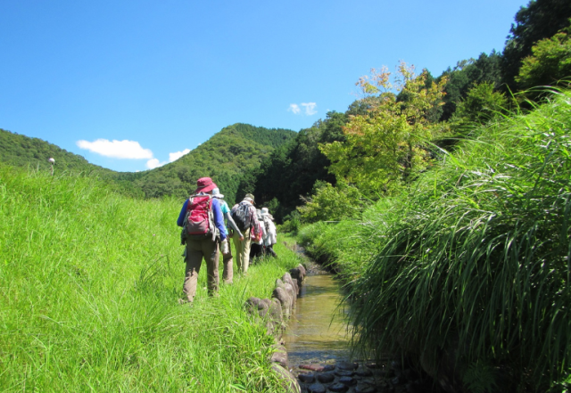 発酵と健康をめぐる丹波時間 ― 足立醸造 蔵祭と通常非公開・本社蔵見学、酒蔵・里山を歩く旅 ―
