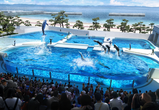 須磨シーワルドとランチブッフェ