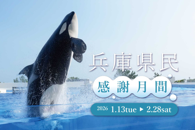 兵庫県民感謝月間