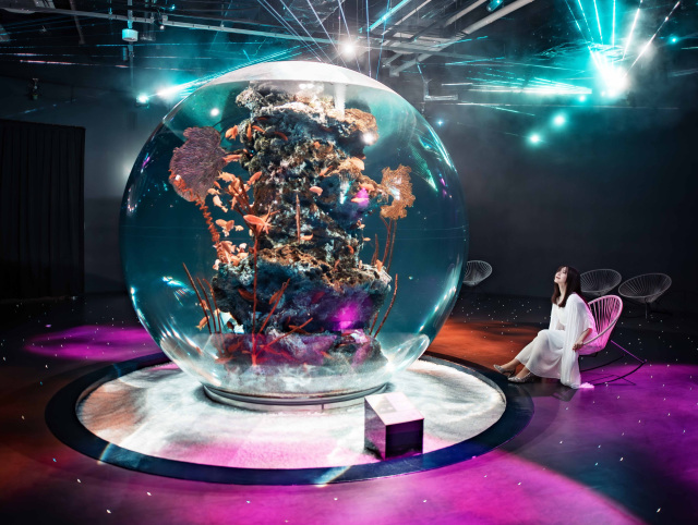 The Five Senses Meal: Private Dinner at átoa