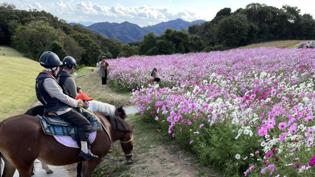 Horseback Riding Experience at Flower Park in Awaji Island