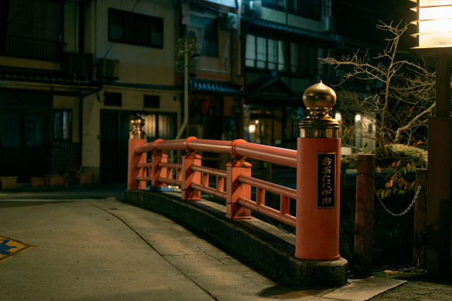 Walking around the Kinosaki Onsen town with a private guide, ropeway ride, and a special tour of Onsen-ji Temple by the chief priest