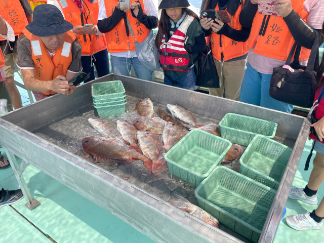 船上で漁を楽しむ。捌きたての魚＆家島諸島クルーズ
