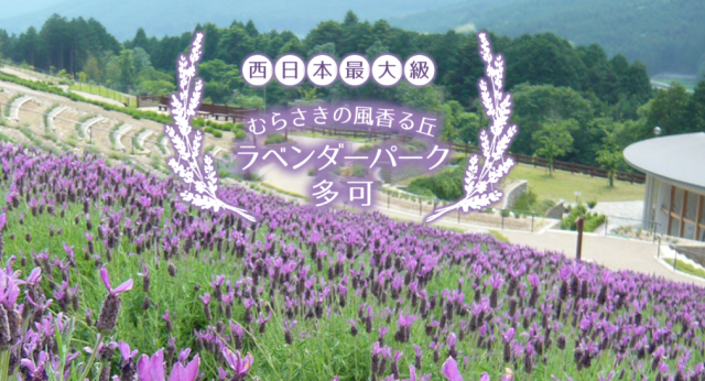 「ラベンダ－の香りに包まれる休日・ 廃線跡でノストラジ－を…