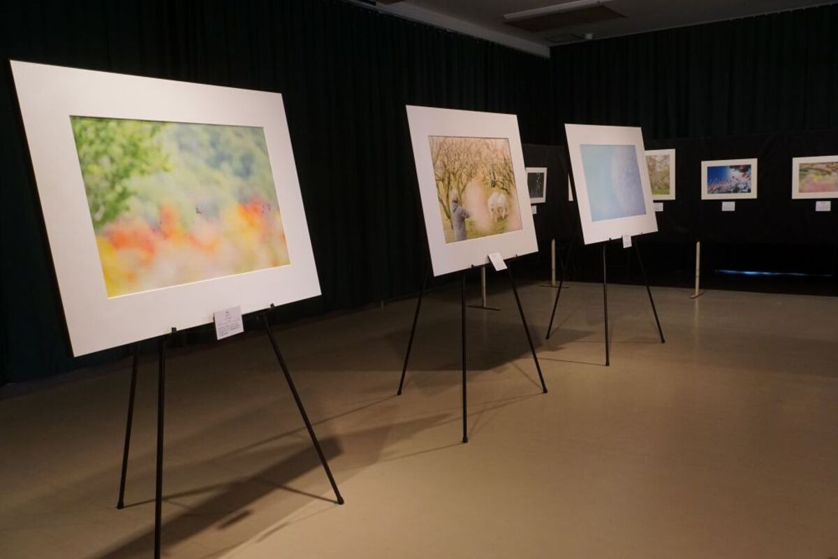 みんなの写真展 PhotoClub HANA+