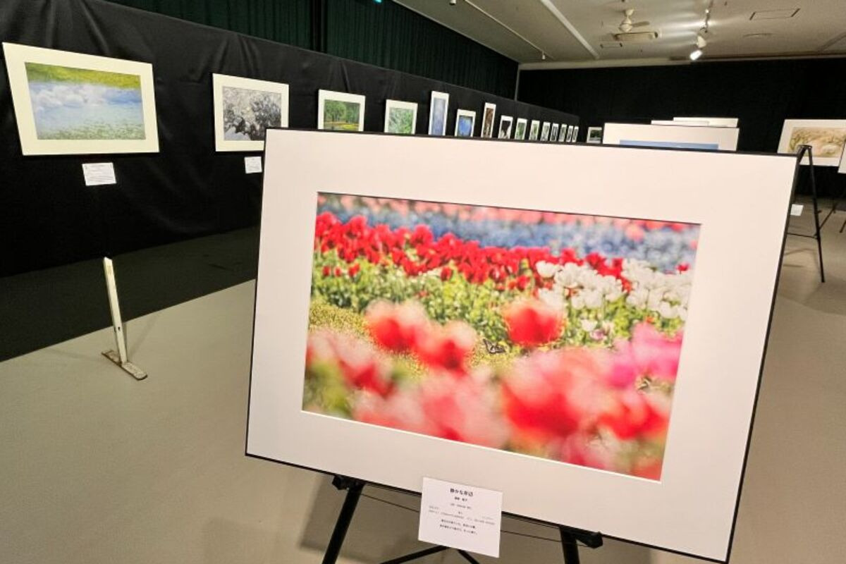 みんなの写真展 PhotoClub HANA+