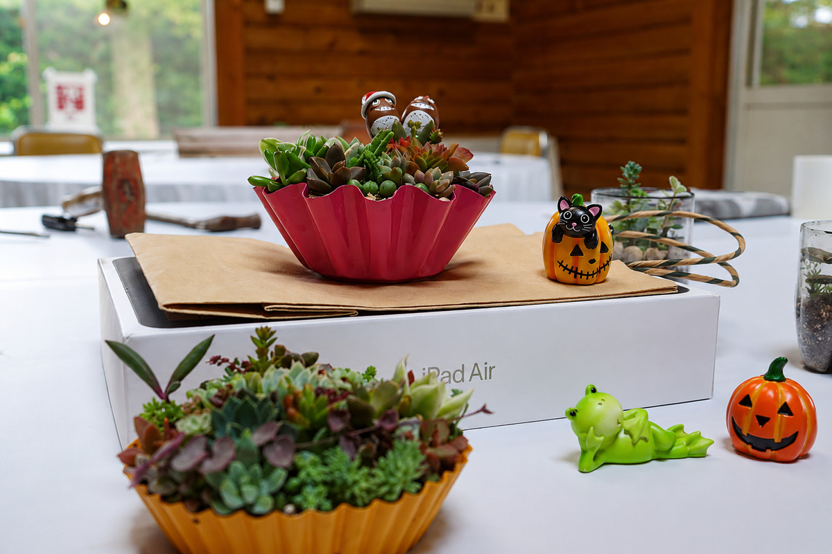 秋の寄せ植え教室