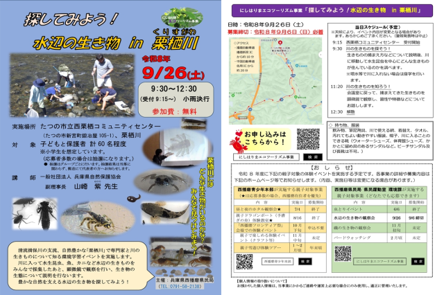 探してみよう!水辺の生き物 in 栗栖川