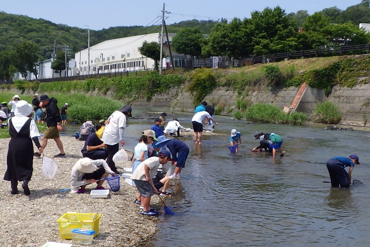 栗栖川で生き物を探索
