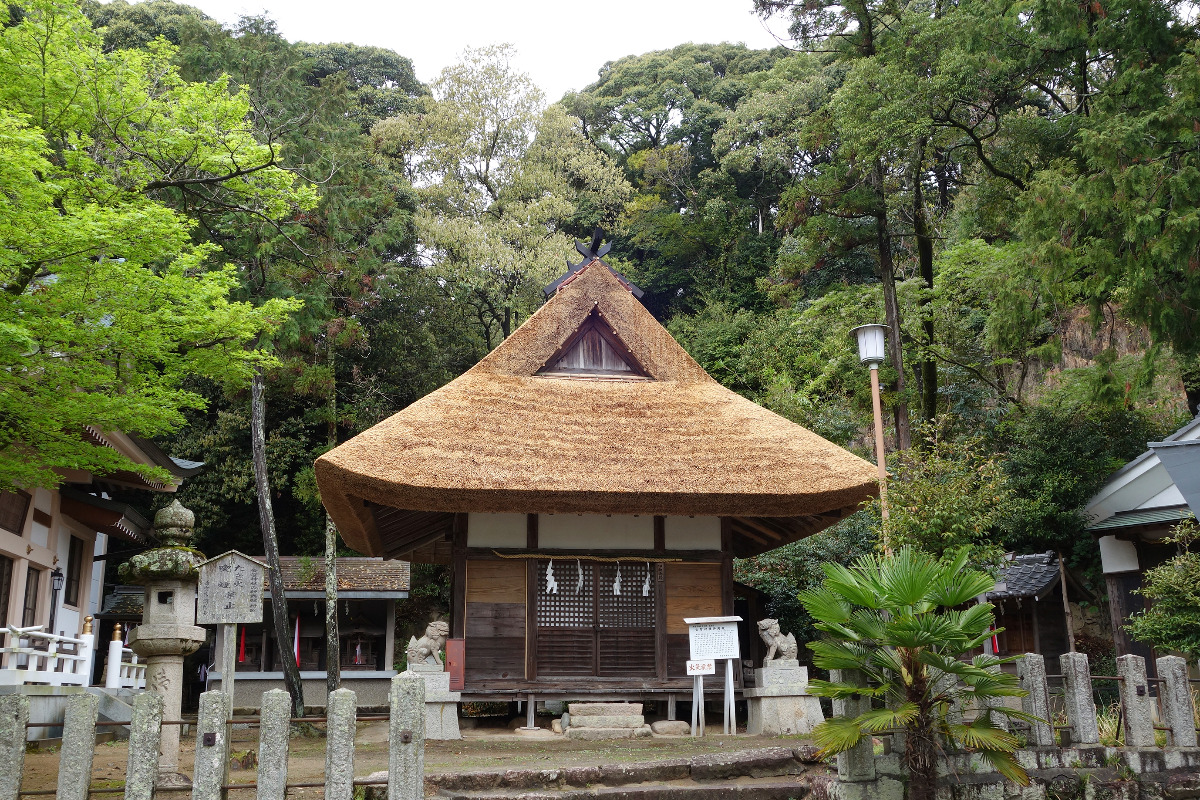 公智神社神輿殿と社叢