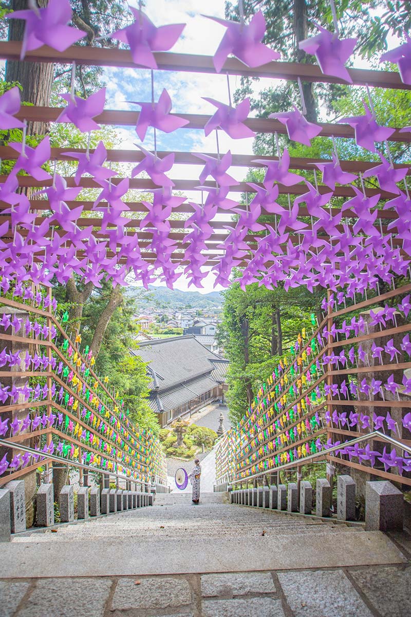 >新温泉町／宇都野神社 風車の参道