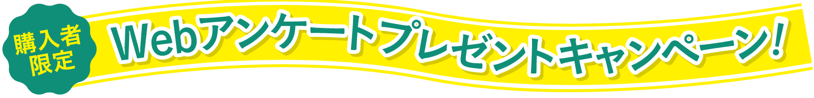 購入者限定 Webアンケートプレゼントキャンペーン！