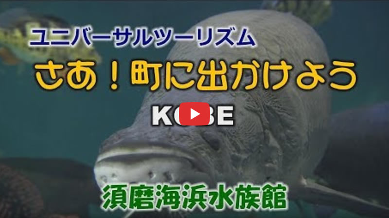 さあ！町に出かけよう 須磨海浜水族園